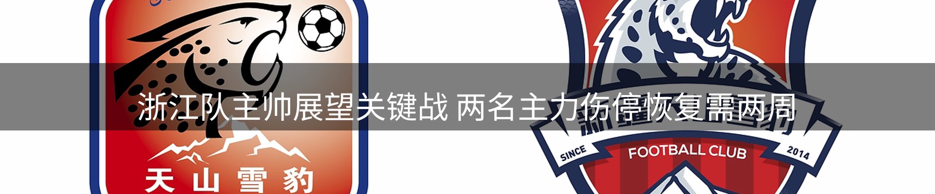 行业洞察